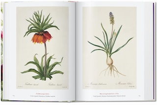 Sample content 4_Redouté. The Book of Flowers. 45th Ed.