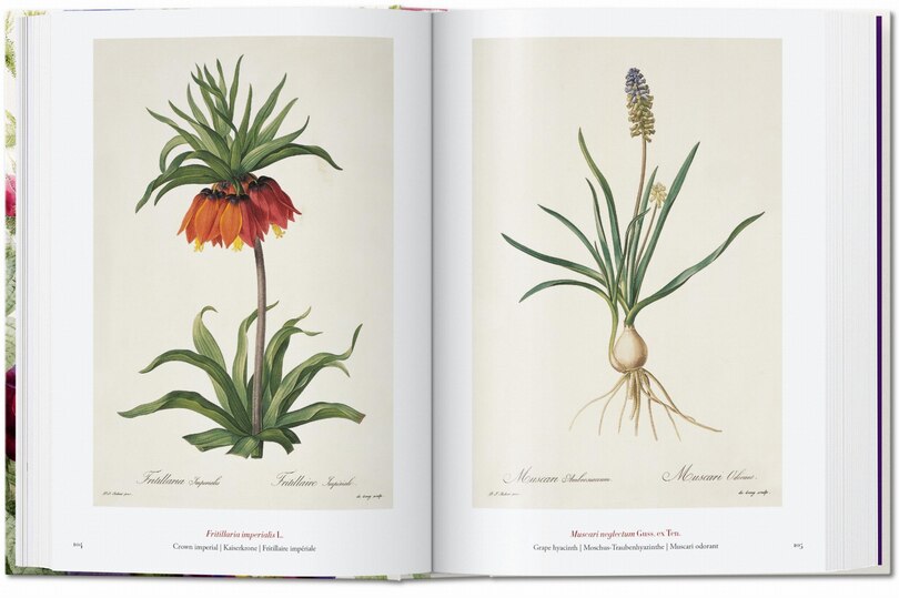 Sample content 4_Redouté. The Book of Flowers. 45th Ed.