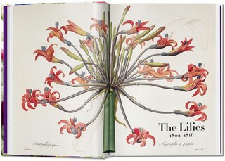 Sample content 5_Redouté. The Book of Flowers. 45th Ed.