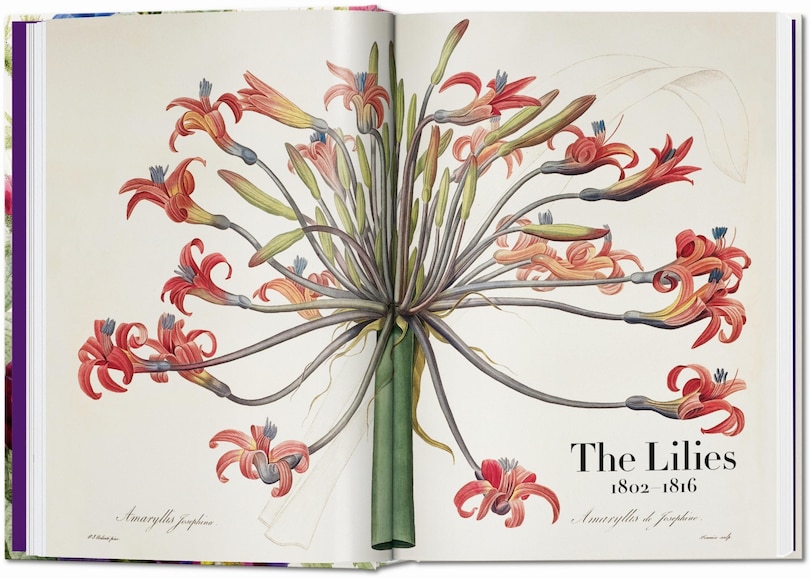 Sample content 5_Redouté. The Book of Flowers. 45th Ed.