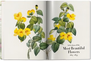 Aperçu du contenu_Redouté. The Book Of Flowers