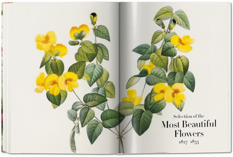 Aperçu du contenu_Redouté. The Book Of Flowers