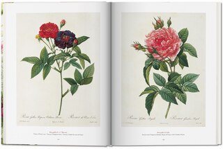 Aperçu du contenu 2_Redouté. The Book Of Flowers