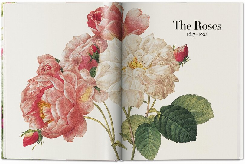 Aperçu du contenu 3_Redouté. The Book Of Flowers