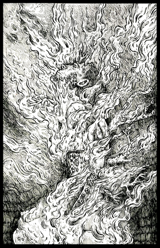 Aper&ccedil;u du contenu_Reef Mind