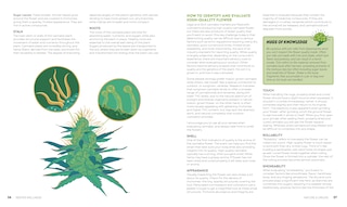 Sample content_Reefer Wellness