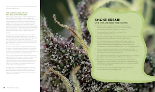 Sample content 2_Reefer Wellness