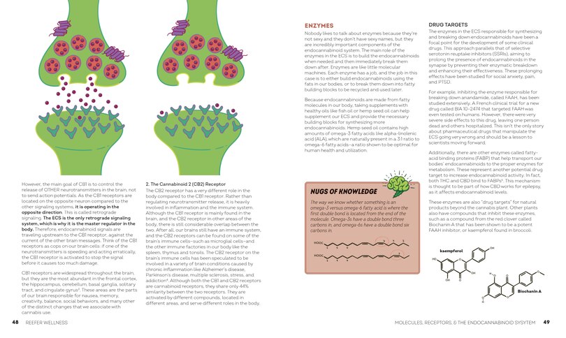 Sample content 3_Reefer Wellness