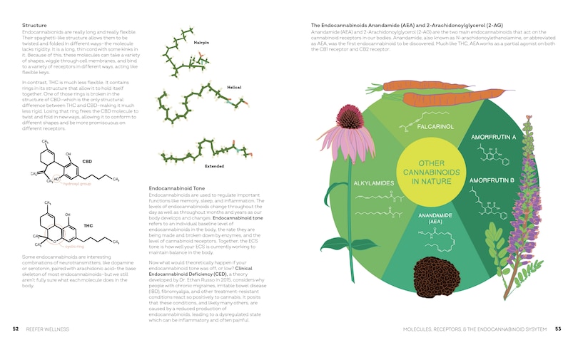 Sample content 4_Reefer Wellness