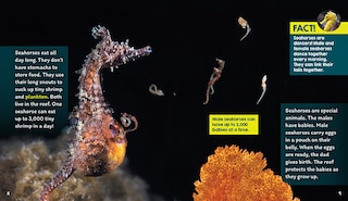 Aperçu du contenu_Reefs (Learn About: Animal Homes)