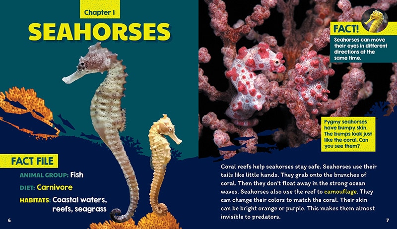Aperçu du contenu 2_Reefs (Learn About: Animal Homes)