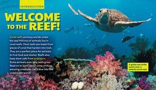 Aperçu du contenu 3_Reefs (Learn About: Animal Homes)