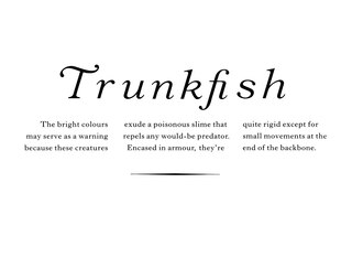 Aper&ccedil;u du contenu 3_Remarkable Animals