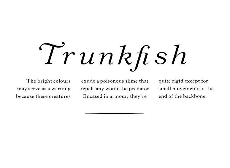 Aper&ccedil;u du contenu 3_Remarkable Animals