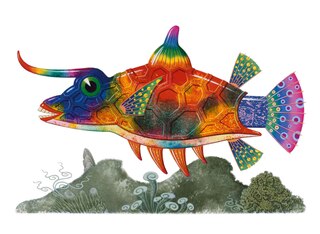 Aper&ccedil;u du contenu 4_Remarkable Animals