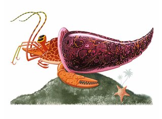 Aper&ccedil;u du contenu 5_Remarkable Animals