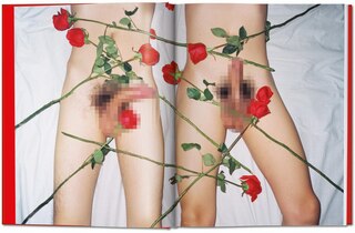 Sample content 5_Ren Hang