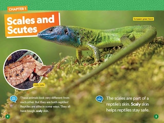 Sample content_Reptiles (National Geographic Kids Readers, Level 1/Co-Reader)