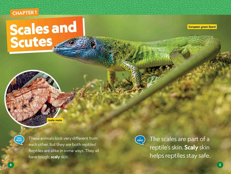 Sample content_Reptiles (National Geographic Kids Readers, Level 1/Co-Reader)