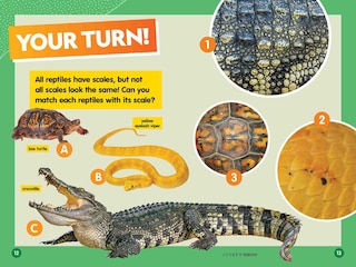 Sample content 2_Reptiles (National Geographic Kids Readers, Level 1/Co-Reader)