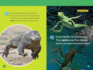 Sample content 3_Reptiles (National Geographic Kids Readers, Level 1/Co-Reader)