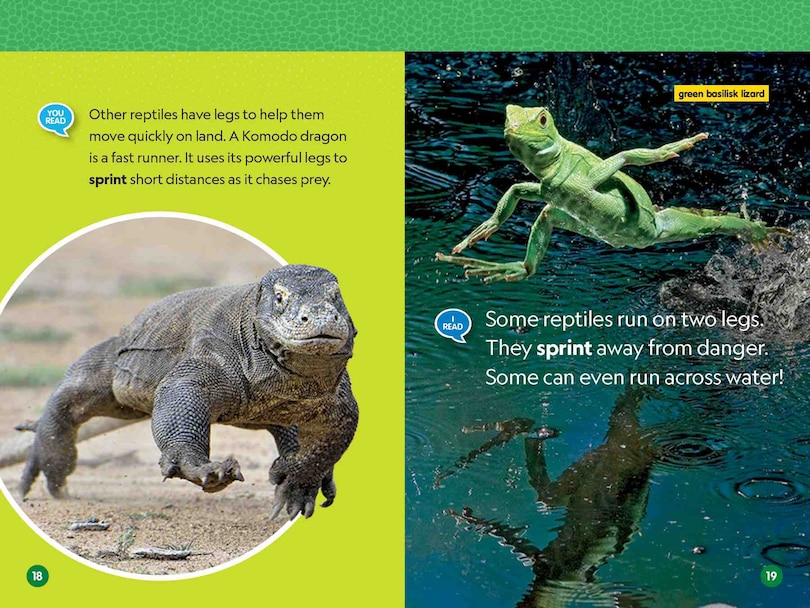 Sample content 3_Reptiles (National Geographic Kids Readers, Level 1/Co-Reader)