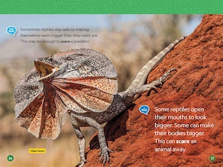 Sample content 4_Reptiles (National Geographic Kids Readers, Level 1/Co-Reader)