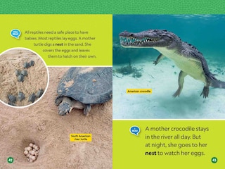 Sample content 5_Reptiles (National Geographic Kids Readers, Level 1/Co-Reader)