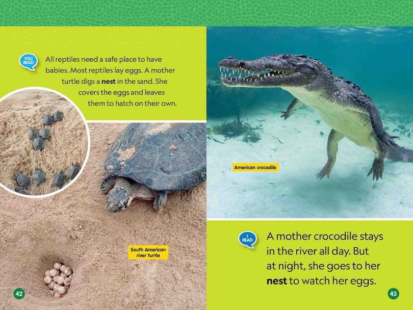 Sample content 5_Reptiles (National Geographic Kids Readers, Level 1/Co-Reader)