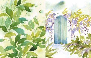 Aper&ccedil;u du contenu_Reverse Coloring: Gardens