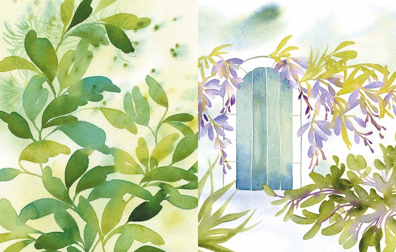 Aper&ccedil;u du contenu_Reverse Coloring: Gardens