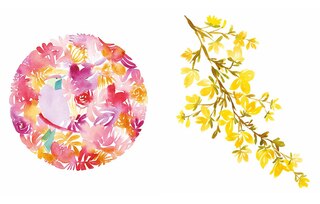 Aper&ccedil;u du contenu 2_Reverse Coloring: Gardens