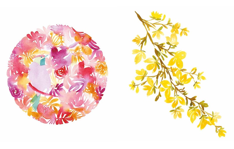 Aper&ccedil;u du contenu 2_Reverse Coloring: Gardens