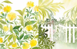 Aper&ccedil;u du contenu 5_Reverse Coloring: Gardens