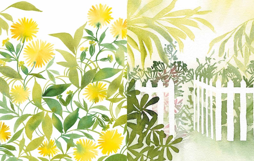 Aper&ccedil;u du contenu 5_Reverse Coloring: Gardens