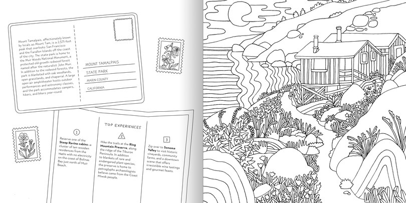 Aperçu du contenu 2_Road Trip! Coloring Book