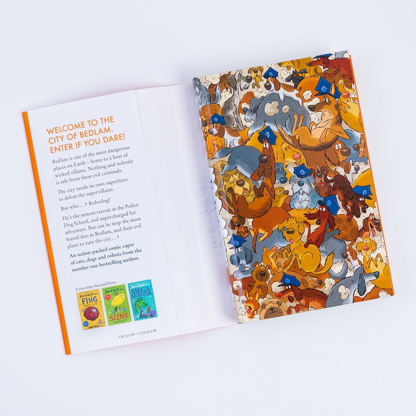 Aper&ccedil;u du contenu 4_Robodog