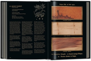 Sample content_Romeyn B. Hough. The Woodbook. The Complete Plates