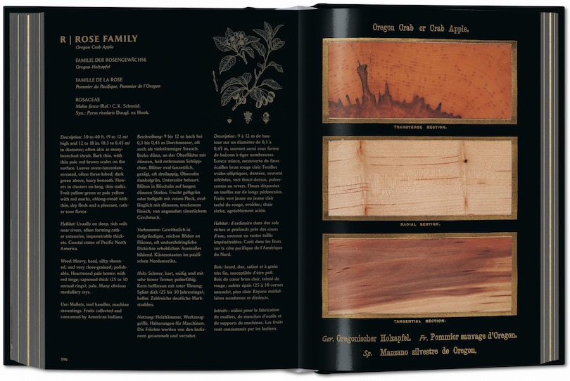 Sample content_Romeyn B. Hough. The Woodbook. The Complete Plates