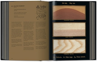 Sample content 2_Romeyn B. Hough. The Woodbook. The Complete Plates