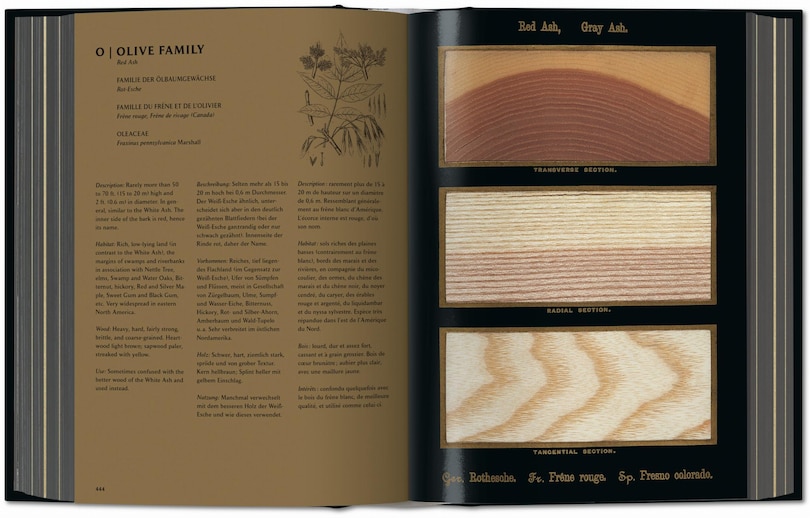 Sample content 2_Romeyn B. Hough. The Woodbook. The Complete Plates