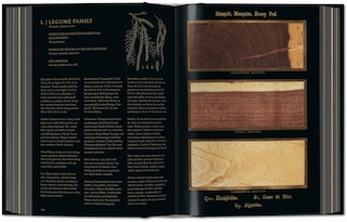 Sample content 3_Romeyn B. Hough. The Woodbook. The Complete Plates
