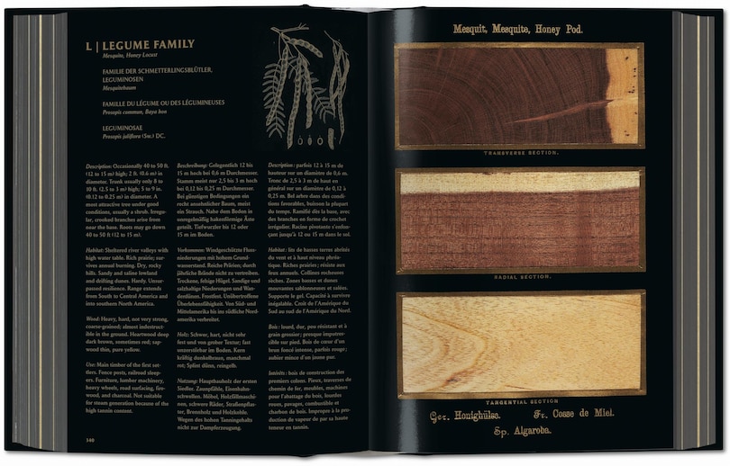 Sample content 3_Romeyn B. Hough. The Woodbook. The Complete Plates