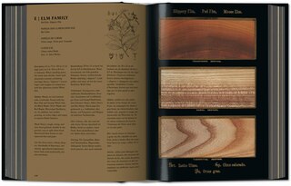 Sample content 4_Romeyn B. Hough. The Woodbook. The Complete Plates