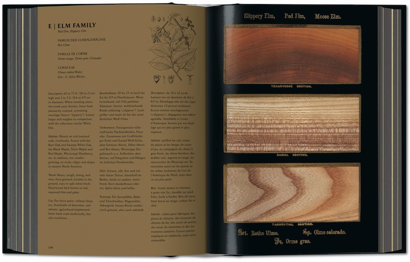 Sample content 4_Romeyn B. Hough. The Woodbook. The Complete Plates