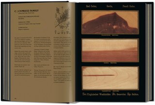Sample content 5_Romeyn B. Hough. The Woodbook. The Complete Plates