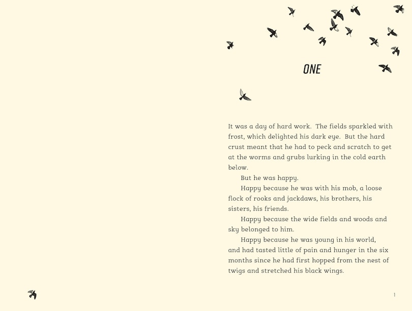 Sample content_Rook