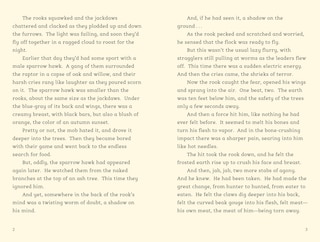 Sample content 2_Rook