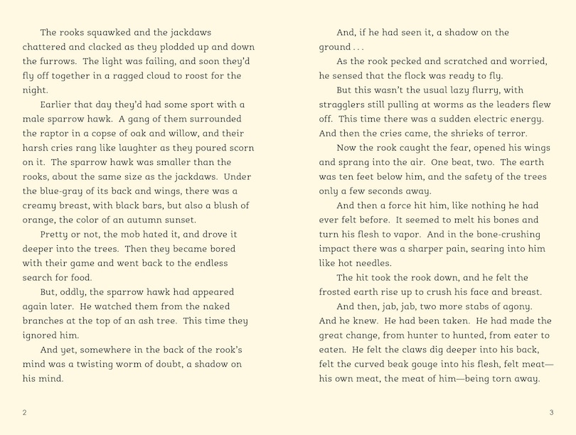 Sample content 2_Rook