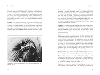 Sample content 3_Root Cellaring